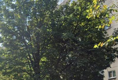 Brancoveanu-Soseaua Oltenitei-apartament 2 camere - 3