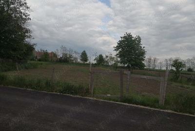 Casă cu 2 camere în Doljești - 4