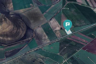 Teren 22.500 mp – Pecica, jud. Arad - 9