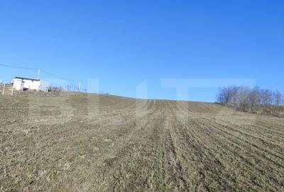 Teren 5000 mp Rediu, oportunitate investitie - 2