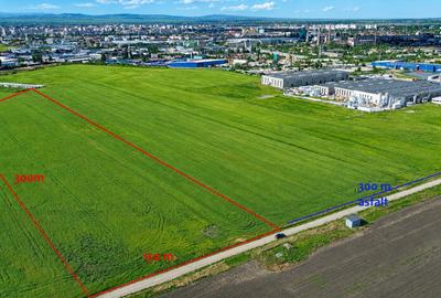 Teren Construcții intravilan de 55000 mp, în Sud - 1