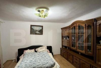 2 CASE, 300mp/700mp, teren 30 ari, zona strada Botizului - 5