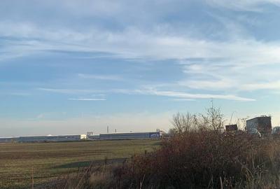 Pantelimon Centura  Vanzare  suprafata compacta  teren extravilan  71 889mp - 2