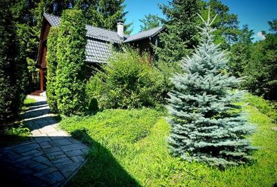 Vilă tip chalet pe malul Pârâului  Bistra - complet utilată, vedere liberă - 6