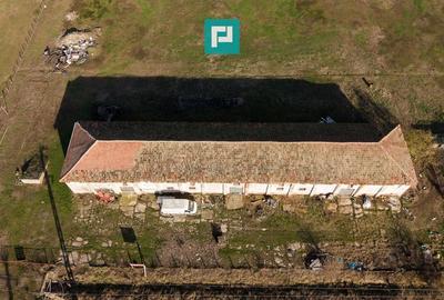 Hală industrială cu teren generos în Zărand, Arad - 50