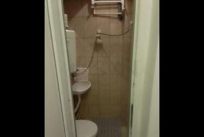 GARSONIERA I DE I DOMENII - 9