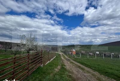 Casă cu 2 camere cu Teren 1751 Mp în Central - 7