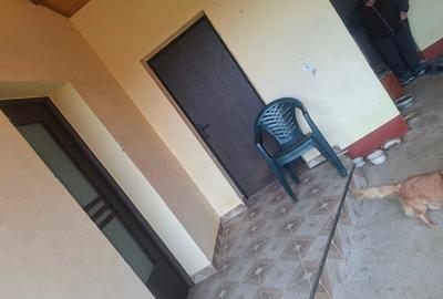 Casă individuală cu 3 camere cu Teren 2800 Mp în Gherteniș - 7