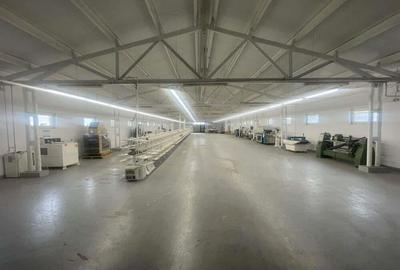 Inchiriez spatii comerciale si industriale in Dumbravita - 2