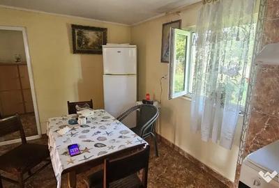 Casă cu 3 camere cu Teren 470 Mp în Viile Noi - 7