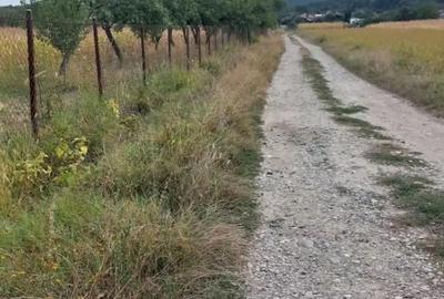 Teren de 1000 mp, în Ruda - 2