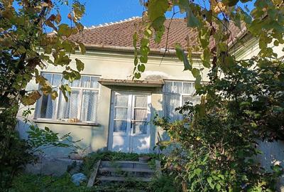 Casă cu 4 camere în Tinca - 8