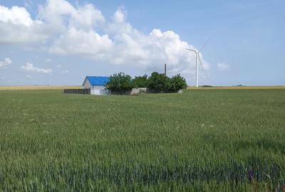 Casă cu 5 camere cu Teren 750 Mp în Corbu - 2