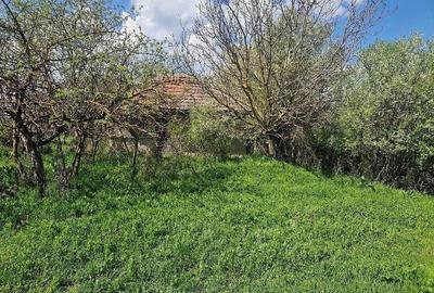 Teren de 3800 mp, în Moșteni - 6