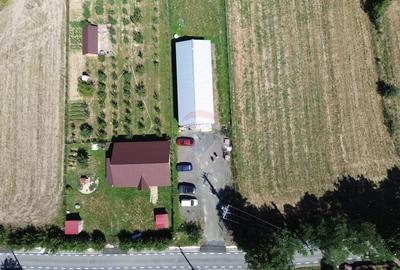 De vanzare Hala 160 m2 in localitatea Lapusel, comuna Recea, Maramures - 8