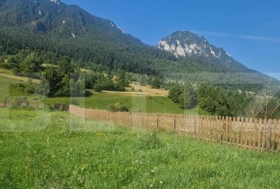 Teren Plaiul Foii, vedere spre muntii Bucegi si apa Barsa 10 Teren Plaiul Foii, vedere spre muntii Bucegi si apa Barsa 10 - 15