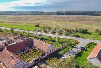 Teren Construcții intravilan de 1191 mp, în Sârbova - 7