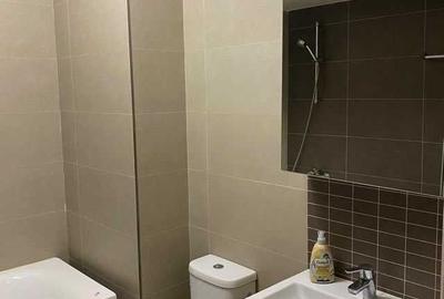 Garsoniera zona Grozavesti  Hotel Ibis - 5