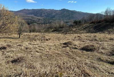 Teren de 29119 mp, în Nucșoara - 4