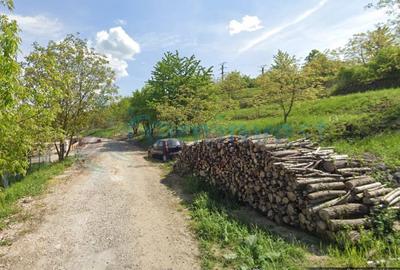 Teren Construcții intravilan de 810 mp, în Dealuri Oradea - 2