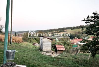 De vanzare 2 case cu 4.900 mp teren, Livezeni 0% comision - 5