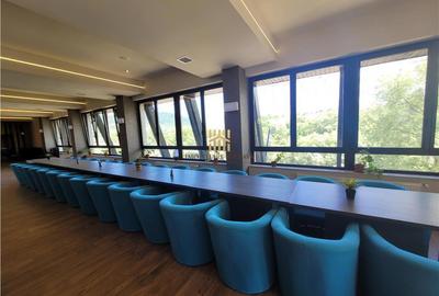 Pensiune de lux in Bucovina! - 3