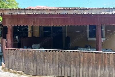 Casă cu Teren 3200 Mp în Grecești - 5