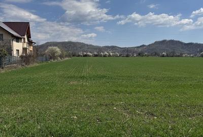 Teren de 4500 mp, în Exterior Vest - 3