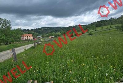 Teren intravilan de 3200 mp, în Barcani - 4