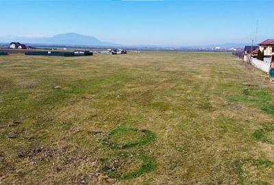 Teren Construcții intravilan de 18188 mp, în Bod - 20