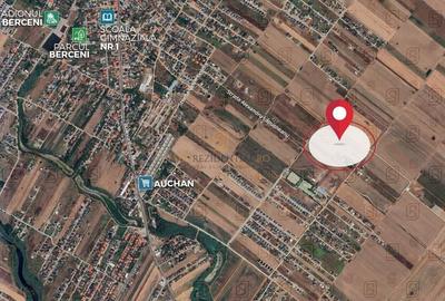 Tere intravilan, 500 mp, str Buchetului, comuna Berceni, Ilfov - 3