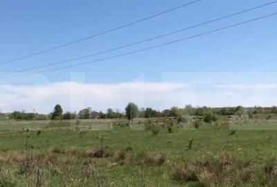 Teren, 5453 mp, zona Suta Seaca - 2