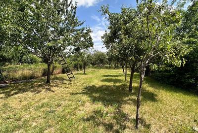 REV2002740 Casa tip duplex cu mansarda si pereti dublii Buftea REV2002740 Casa tip duplex cu mansarda si pereti dublii Buftea - 5