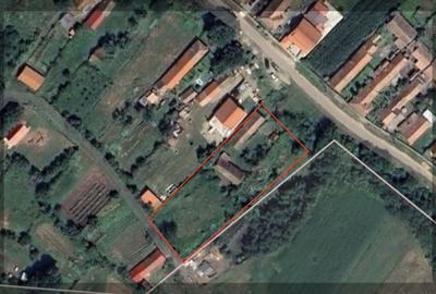 Casă individuală cu 4 camere cu Canalizare în Bălcaciu - 6