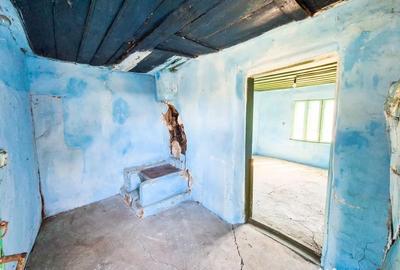 Casă cu 3 camere cu Teren 2000 Mp în Negrași - 4