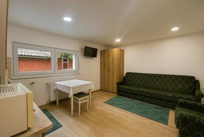 Casa cu 2 camere la curte in zona Piata Cluj - 2