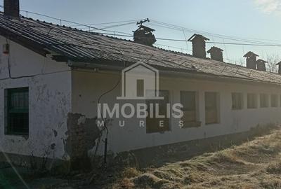 Teren Construcții intravilan de 13134 mp, în Budiului - 5