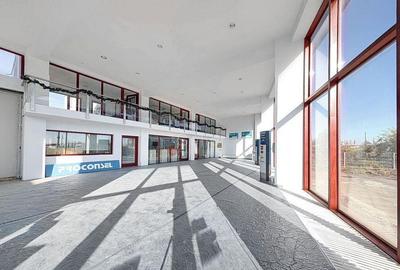 Sediu Firma | Activitati Comerciale - 20