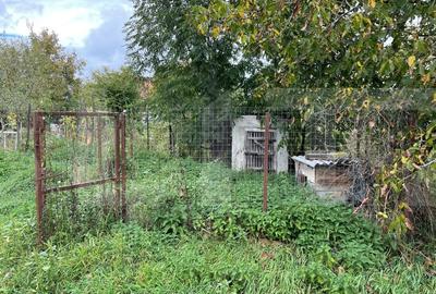 Casa taraneasca in centrul localitatii Ilieni – teren 832 mp. - 4