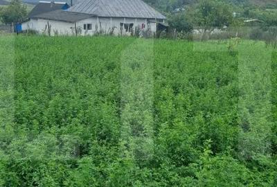 Casă cu Teren 1666 Mp în Central