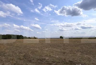 Teren de 29600 mp, în Central - 3