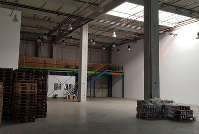 Spațiu industrial, de 700 mp, în Mogoșoaia - 8