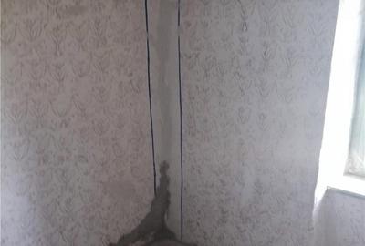 Casă cu 3 camere cu Teren 1250 Mp în Clopodia - 6