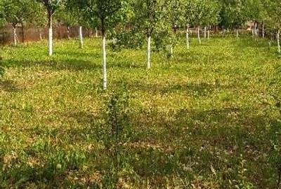 Casă cu 3 camere cu Teren 1200 Mp în Făget - 6