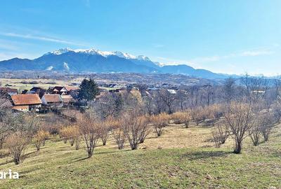 Teren de 17000 mp, în Central - 6