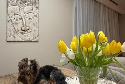 Penthouse cu 3 camere semidecomandat, mobilat în Șoseaua Nordului - 22