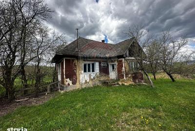 Teren de 5097 mp, în Groși - 6