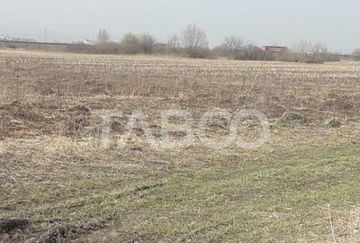 Teren extravilan 4200 mp in Sibiu zona Turnisor - 3