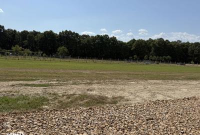 Teren de 1200 mp, în Recea - 5