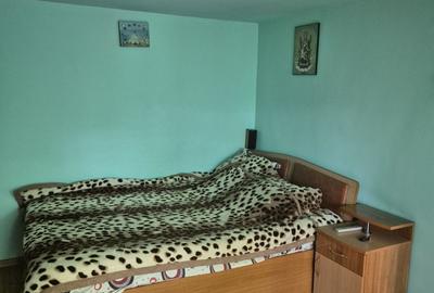 Casă cu 4 camere în Iordăcheanu - 5